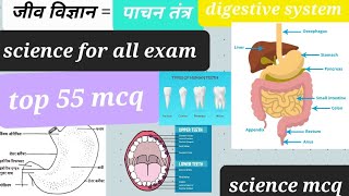 Digestive system mcq for Ctet2024 Reetpre biology pyq Science tgt kvs dsssb ssc ntpc gd alp [upl. by Anuaf]