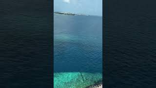 13 October 2024  Maldives Street View 😍 Tour Nature Subscribe Youtubeshort Natureview [upl. by Cilka]