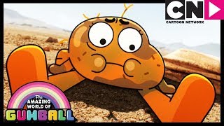 Gumball  Darwin Grows Legs  The Origins Part 2  Cartoon Network [upl. by Dacey]