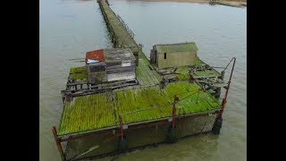 Shotley Pier Abandoned  Drone [upl. by Gneh348]