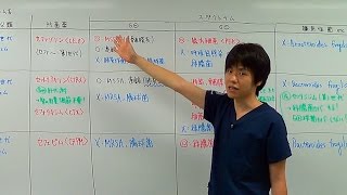 03抗菌薬はじめからていねいに【各論前半】 米内竜の迷走録 [upl. by Cogn786]