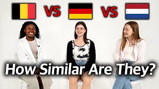 Can Dutch and German Speaking Countries Understand Each Other Belgium vs Germany vs Netherlands [upl. by Wera]