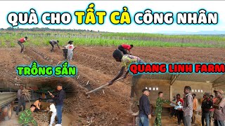 Quanglinhvlogs  Quà Tặng Cho Tất Cả Công Nhân Tại Quang Linh Farm  Công Cuộc Trồng Sắn [upl. by Annaeg]