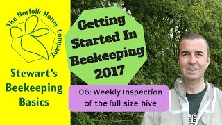 My First Beehive  Weekly Inspections [upl. by Nevag]