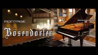 Bosendorfer Imperial 290  Montage for kontakt [upl. by Nytsuj]