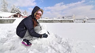 SHIMLA TOUR PART 2  AG VLOGS EP15  AMRITHA SURESH [upl. by Shushan]