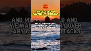 I HAVE A BLOOD COVENANT WITH GOD  DECLARE THIS BEFORE YOU START YOUR DAY [upl. by Edecrem308]