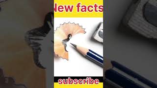 Natraj pencil facts antafact Aayushfact [upl. by Htebizile]