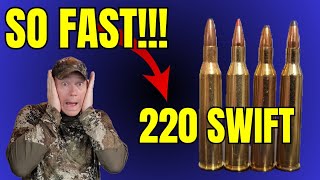 220 SWIFT is Crazy Fast [upl. by Hyps]