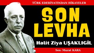 quotSon Levhaquot Halit Ziya Uşaklıgil  Sesli Kitap Dinle Baba ve kızının hikayesi [upl. by Amory233]