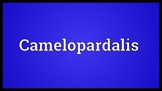 Camelopardalis Meaning [upl. by Aaberg388]