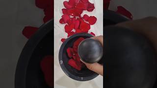 How to make lip balm amp Rose tea at home with Rose Petals lip balm with 2 ingredients [upl. by Llednew411]