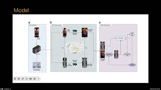 Conditional generative adversarial network assisted system for radiation free evaluation of scoliosi [upl. by Ignatzia280]