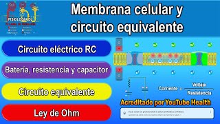 Membrana celular  Membrana plasmática  Circuito equivalente circuito RC y ley de Ohm [upl. by Hsetirp]