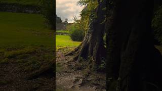 Haunting Berry Pomeroy Castle shorts [upl. by Britteny]