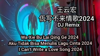 王云宏  佤写不来情歌2024 Wa Xie Bu Lai Qing Ge REMIX  Sub Indonesia English Pinyin [upl. by Currey]