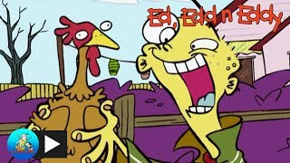 Ed Edd n Eddy  Ed Looks After Rolfs Animals  Cartoon Network [upl. by Dal228]