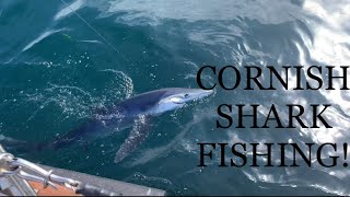 Sharking aboard Lo Kie Adventures  Penzance Cornwall blue sharks [upl. by Liederman233]