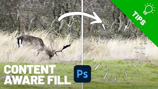 CONTENT AWARE FILL in Photoshop zo werkt het  Tutorial Tuesday [upl. by Tillfourd334]