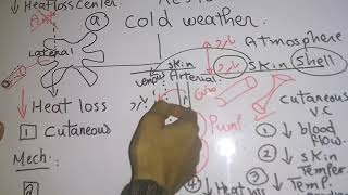 Thermoregulatory response to Cold weather dr mohamed fayez [upl. by Lindberg62]