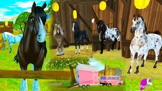 Star Stable Lifetime Rider amp Buying A New Horse  Horses Game Lets Play with Honeyheartsc Video [upl. by Naicul]