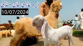 10 July 2024  dera ghazi khan bakra mandi update today  goat farming business in Pakistan [upl. by Ahserkal]