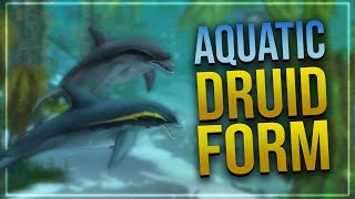 New Druid Aquatic Form  Glyph of the Dolphin  Battle for Azeroth [upl. by Berti]