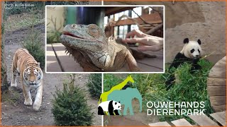 WIJ BEZOEKEN OUWEHANDS DIERENPARK IN RHENEN  VLOG 451 [upl. by Llenahs736]