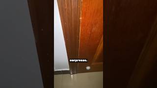 ¡Nunca imaginaron lo que había detrás de esa puerta 🚪😱 [upl. by Tyra]