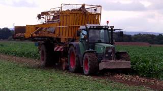 Rübenroden 2011 mit ein Fendt Favorit 515 Teil 2 [upl. by Ziana]