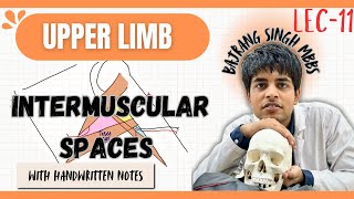 Intermuscular spaces Anatomy of scapula and arm in Hindi ll upper limb anatomy ll mbbs 1st year [upl. by Iahs]