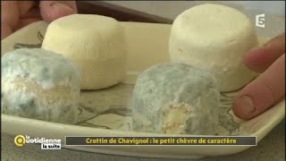 Crottin de Chavignol  le petit chèvre de caractère  La Quotidienne la suite [upl. by Nodnal121]