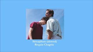 Requin Chagrin  Sémaphore slowed [upl. by Vitia550]