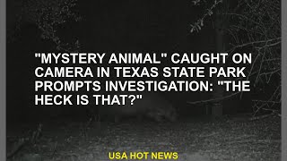 The quotmystery animalquot caught on camera in a Texas state park prompted the investigation quotWhat is this [upl. by Sylram]