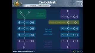 Citologia 09  Carboidrati [upl. by Crescentia]