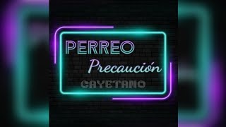 PERREO PRECAUCIÓN [upl. by Aysab]