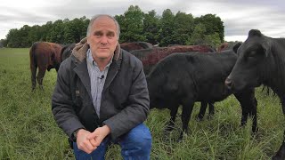 Managing a Small Cattle Herd [upl. by Henni]