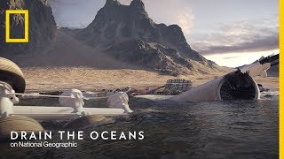 Official Trailer  Drain The Oceans  National Geographic UK [upl. by Artim903]