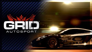 Discipline Focus  Endurance  GRID Autosport [upl. by Gilburt45]