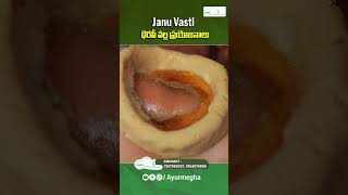 Best Natural Solution for Knee Pain  Janu Vasti Ayurvedic Massage Therapy  Ayurmegha  shorts [upl. by Rehsa]