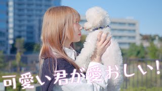 【仮面ライアー217】可愛い君が愛おしい！  sui 踊ってみた【いりぽんとぐみ】 [upl. by Cutcheon]