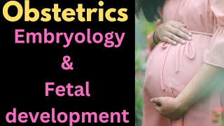 Embryology and fetal developmentobstetrics medical nursing [upl. by Alesi]