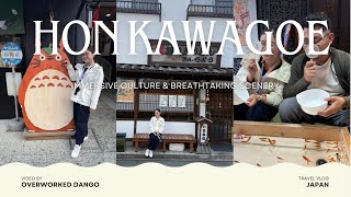 Honkawagoe daytrip  A Day in a Life [upl. by Blain]