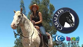 CABALLOS  CAP 19 HD LA RED [upl. by Assilla]