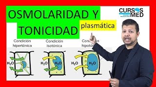 ¿Qué es la ósmosis  BiologíaDesdeCero [upl. by Sira282]