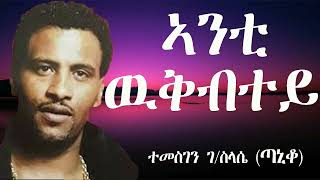 Eritrean music Temesgen G slasie Taniko Best Songs Official Music Video 2023 [upl. by Natasha]