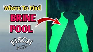 Where To Find Brine Pool In Fisch  Roblox [upl. by Rockie]