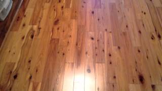 How does a pine hardwood flooring look like [upl. by Boeke]