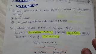 cryptorchidism and testicular atrophy  part 1 male genital pathology [upl. by Luapsemaj]