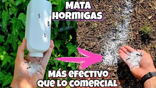 TODA HORMIGA desaparece Con Este REMEDIO CASERO para Plantas CASA y Jardín Solución para eliminar [upl. by Yevi]